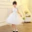 Abi Floral Embroidery Sleeveless Girls Princess Dress