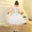 Abi Floral Embroidery Sleeveless Girls Princess Dress
