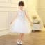 Abi Floral Embroidery Sleeveless Girls Princess Dress
