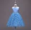 Anissa Floral Patches Sleeveless Girls Wedding Tutu Princess Dress