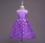 Anissa Floral Patches Sleeveless Girls Wedding Tutu Princess Dress
