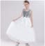 Brenna Silver Sequin Sleeveless Girls Princess Wedding Dress