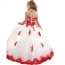 Cassiopeia Floral Lace Girls Wedding Princess Tutu Dress