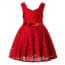 Cherish V Neck Floral Crochet Girls Princess Dress