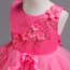 Coraline Floral Patches Girls Wedding Princess Dress
