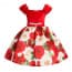 Deanne Rose Printed Cap Sleeve Girls Princess Dress