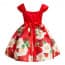 Deanne Rose Printed Cap Sleeve Girls Princess Dress