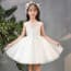 Deja Cheongsam Collar Cap Sleeve Girls Princess Dress