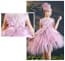 Delia Pink Swan Cap Sleeve Girls Wedding Princess Tutu Dress