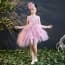 Delia Pink Swan Cap Sleeve Girls Wedding Princess Tutu Dress