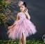 Delia Pink Swan Cap Sleeve Girls Wedding Princess Tutu Dress
