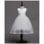 Elaina V Neck Lace Sleeveless Girls Princess Wedding Dress