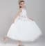 Elinor Floral Embroidery Sleeveless Girls Princess Wedding Dress