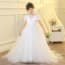 Fawn Floral Embroidery Short Sleeve Girls Princess Wedding Dress