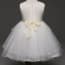 Gertie Floral Patch with Bow-knot Girls Princess Wedding Dress