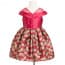 Gisela Dragonfly Printed Off-shouler Girls Princess Dress