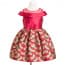 Gisela Dragonfly Printed Off-shouler Girls Princess Dress