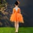 Golda Orange Swan Cap Sleeve Girls Wedding Princess Tutu Dress