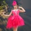 Helene Fuchsia Swan Cap Sleeve Girls Wedding Princess Tutu Dress