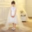 Nadene Embroidery with Rhinestones Sleeveless Girls Wedding Princess Dress