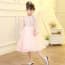 Olivia Floral Embroidery Long Sleeve Lace Girls Wedding Princess Dress