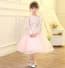 Olivia Floral Embroidery Long Sleeve Lace Girls Wedding Princess Dress