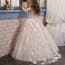 Oona 3D Butterfly with Lace Girls Wedding Princess Tutu Dress