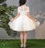 Rene Floral Embroidery See-through Girls Wedding Princess Dress