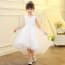Ricki Lace V Neck Girls Wedding Princess Dress