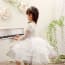 Salma Embroidery V Neck Long Sleeve Girls Wedding Princess Dress
