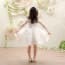 Salma Embroidery V Neck Long Sleeve Girls Wedding Princess Dress