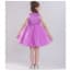 Sasha Sleeveless Tulle Girls Princess Wedding Dress