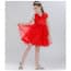 Sasha Sleeveless Tulle Girls Princess Wedding Dress