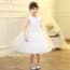 Yanna Floral Patches Sleeveless Girls Wedding Princess Dress