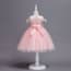 Yasmin Cap Sleeve Embroidery Girls Wedding Tutu Princess Dress