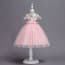 Yasmin Cap Sleeve Embroidery Girls Wedding Tutu Princess Dress