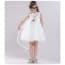 Ziva Floral Embroidery with Pearl Sleeveless Girls Princess Wedding Dress