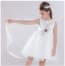 Ziva Floral Embroidery with Pearl Sleeveless Girls Princess Wedding Dress
