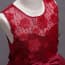 Valery Floral Lace Patches Girls Wedding Princess Dress